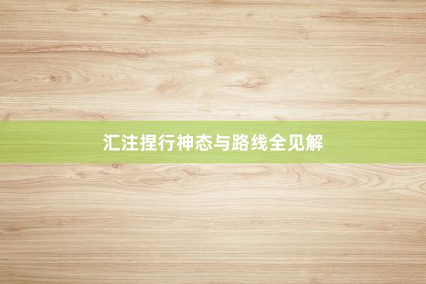 汇注捏行神态与路线全见解