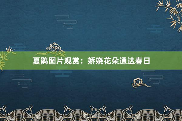 夏鹃图片观赏：娇娆花朵通达春日